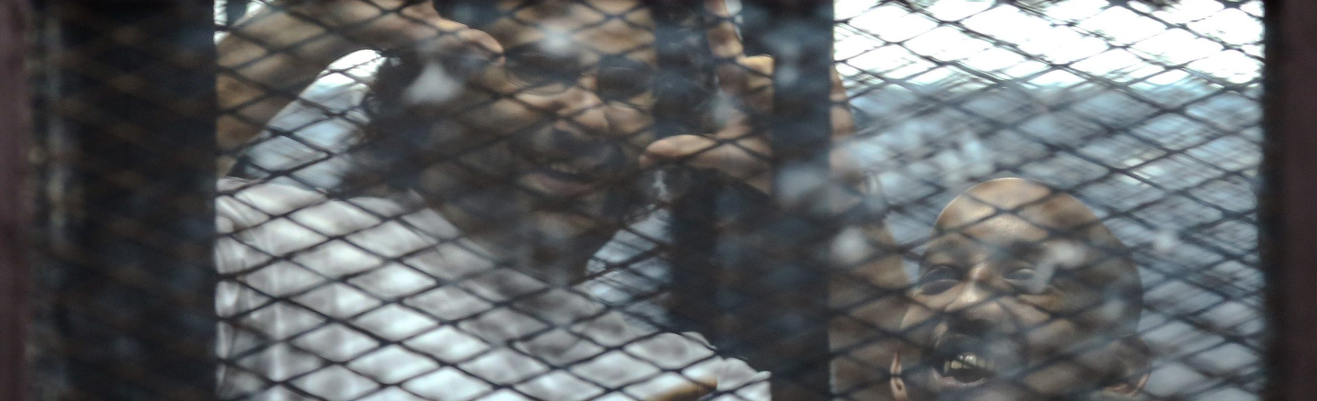 Prominent Egyptian activist Alaa Abdel Fattah stands behind bars with fellow defendants as they are tried at a court in Cairo on August 6, 2014.