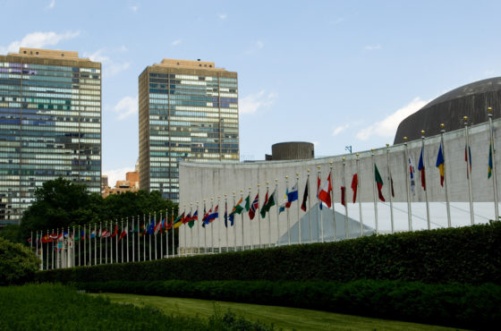 World flags in front of the United Nations building