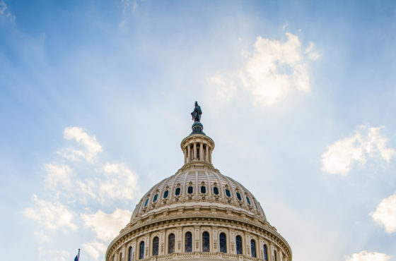 The cap of the United States Capitol Building