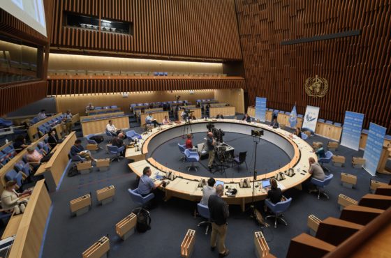 World Health Organization (WHO) press conference