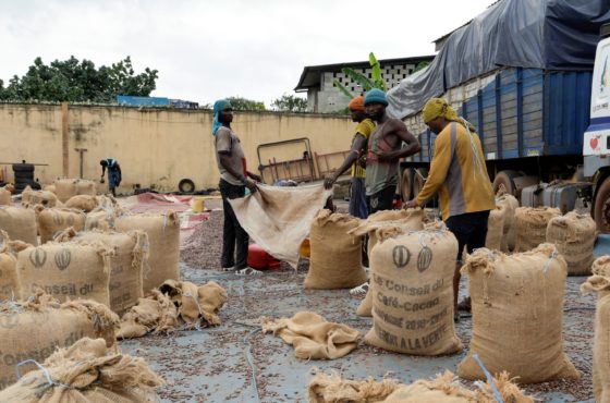 Four people fill bags with cacao beans at a cocoa exporter's in Abidjan, on July 3, 2019. Numerous sacks of beans stand upright around them, and a truck sits in the background.