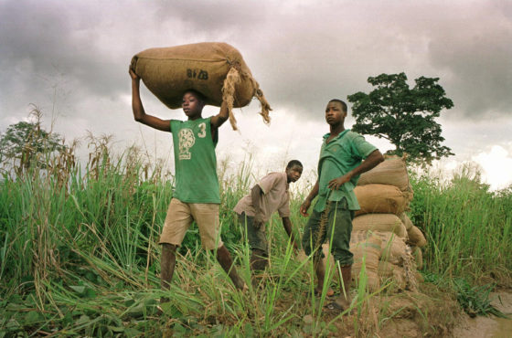 Children workers who come from Burkina Faso carry sacks of cocoa to a truck June 28, 2001 in Petit Tieme, Ivory Coast.