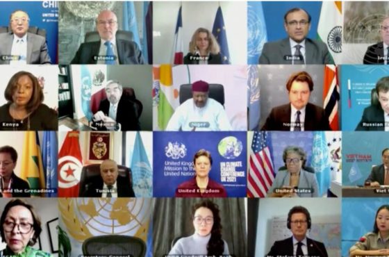 Security Council members hold a videoconference in connection with Maintenance of international peace and security.