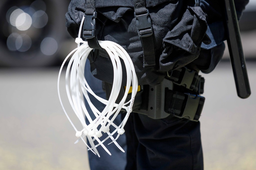 The Méndez Principles The Case for US Legislation on Law Enforcement